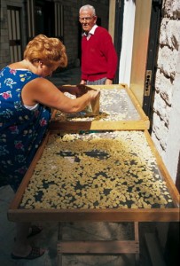 85_bari_preparazione_delle_orecchiette